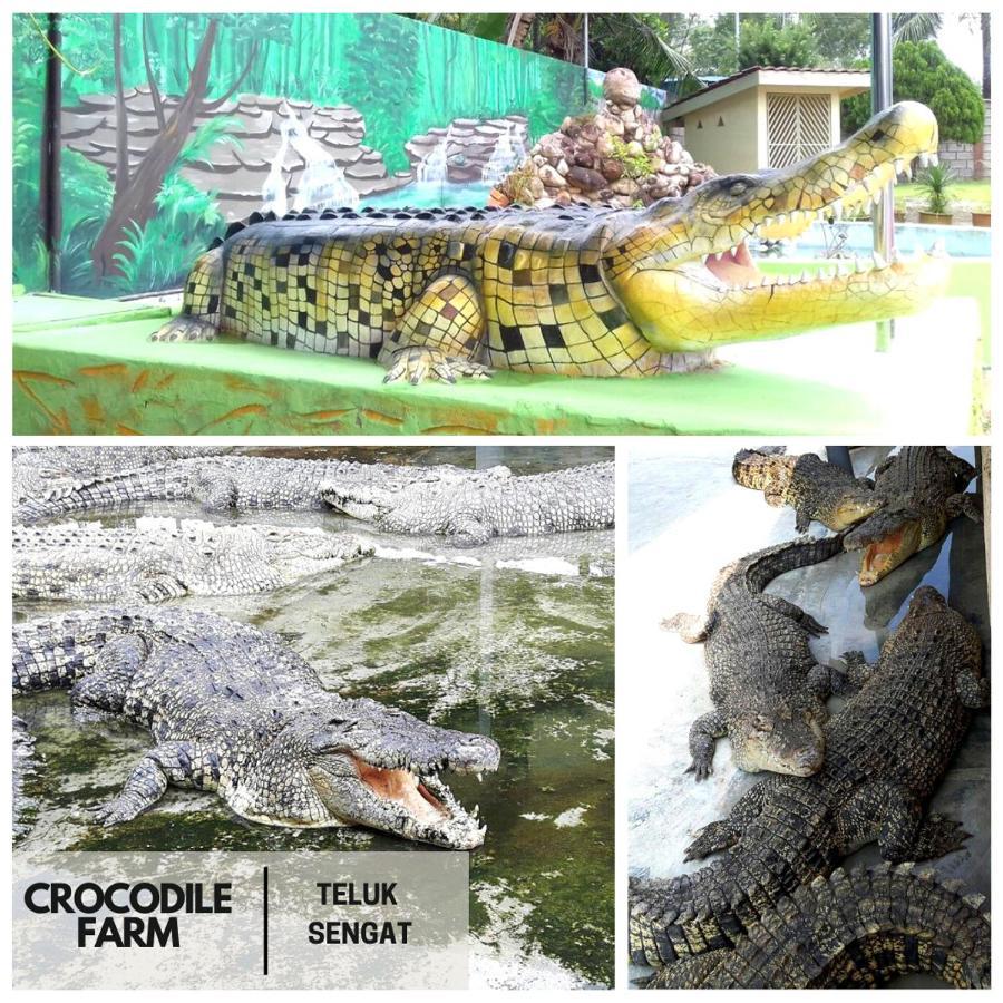 Desaru, Bayu Balau Beach Resort Bandar Penawar Eksteriør bilde